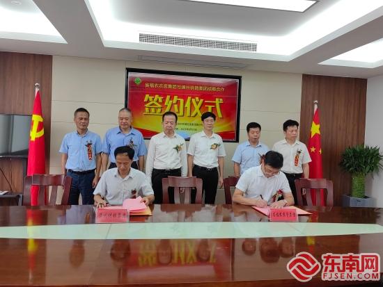 漳州市供销集团揭牌成立，聚焦商业综合体管理服务赋能城乡融合